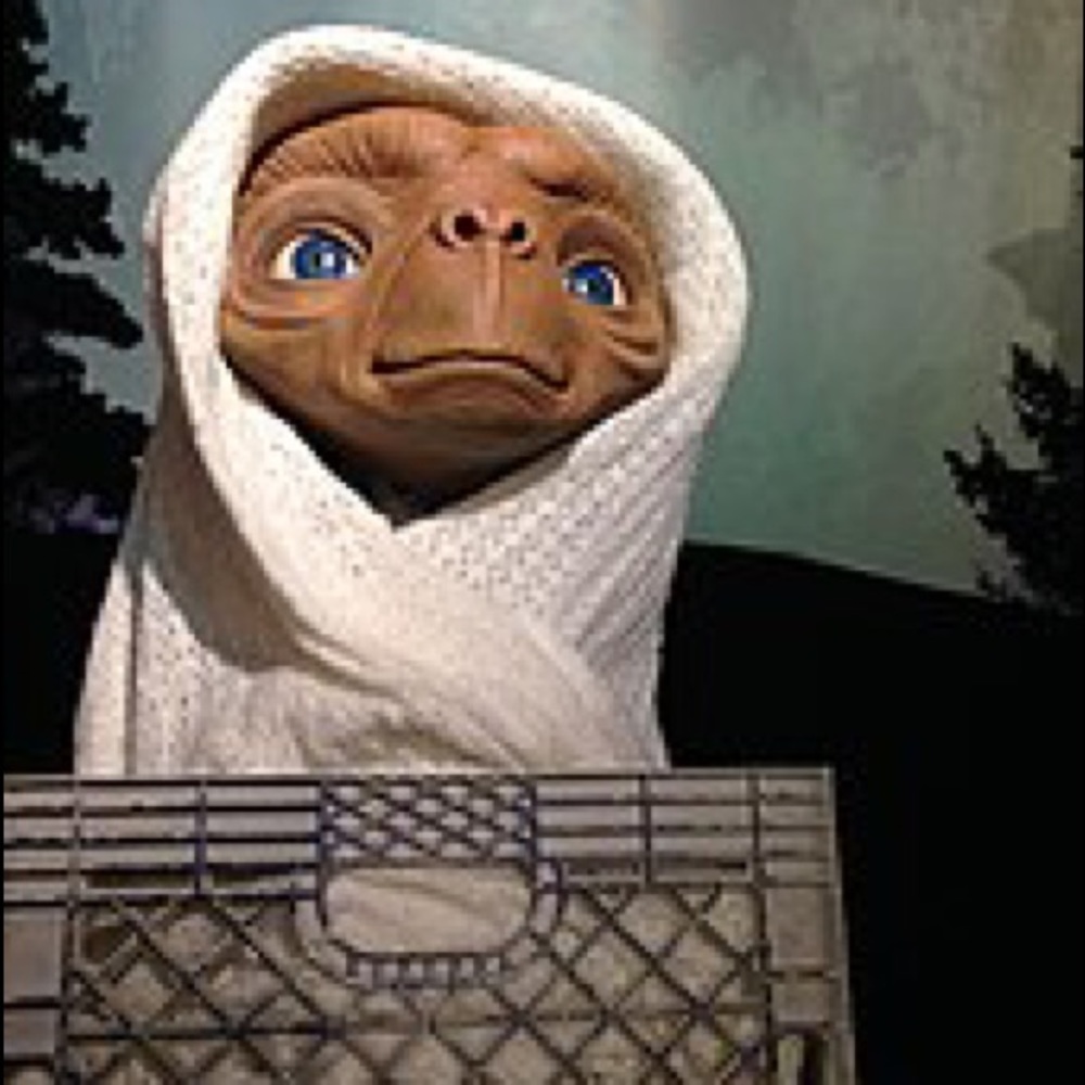 Meet your Posher, Angelica